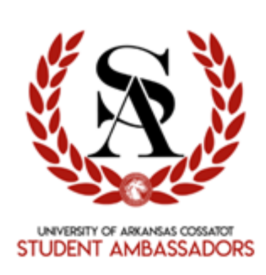 Picture of Student Ambassadors VSO